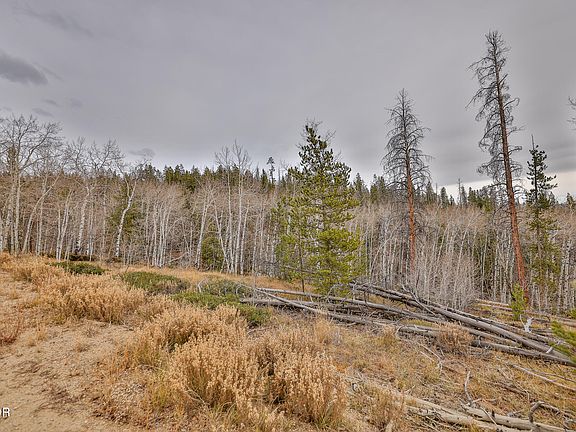 4th image of 1021 GCR 853