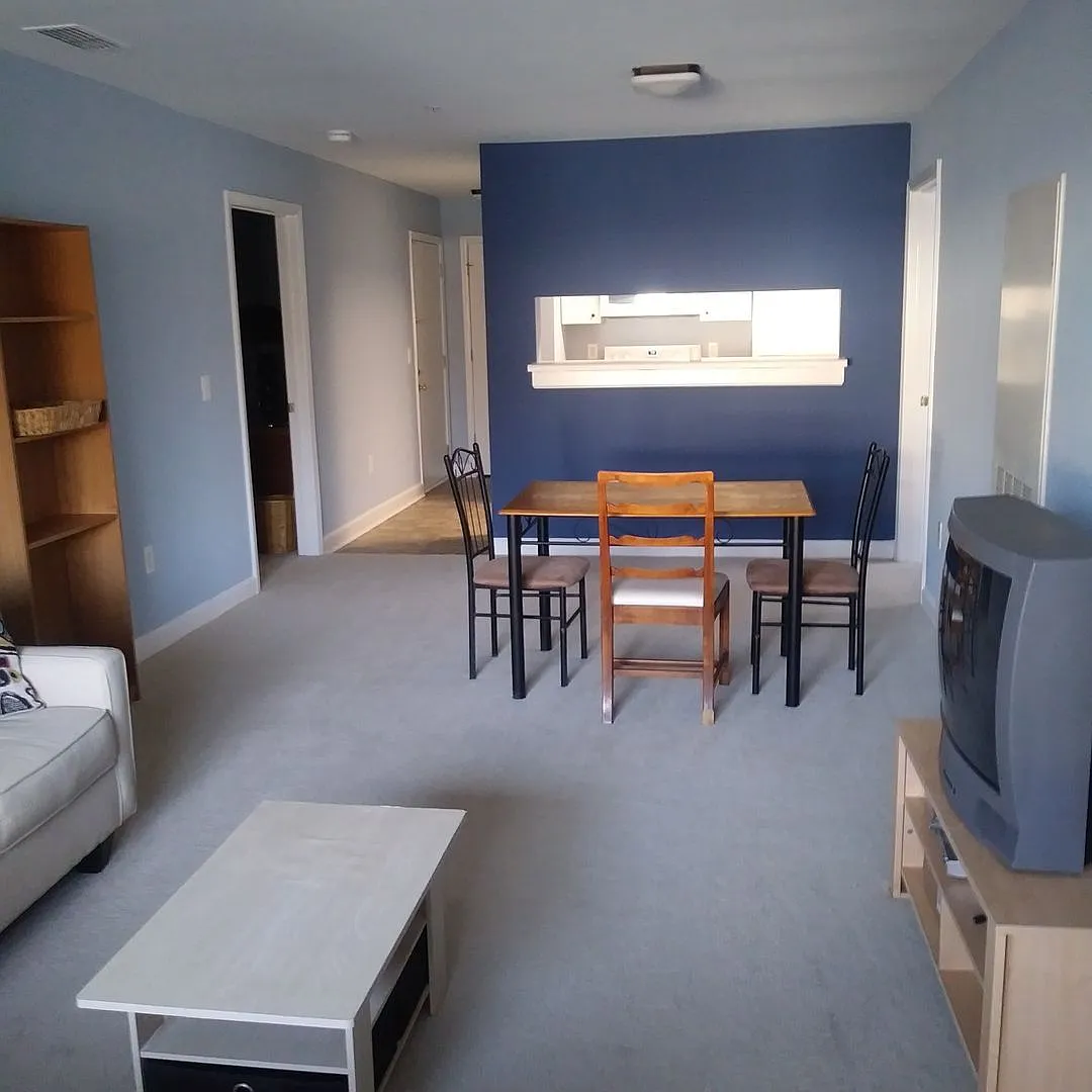 Chapel Hill / 4br Univ Comm Furnished Condo — Photo 3