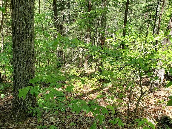 5th image of 0 Walnut Ct Lot 1178