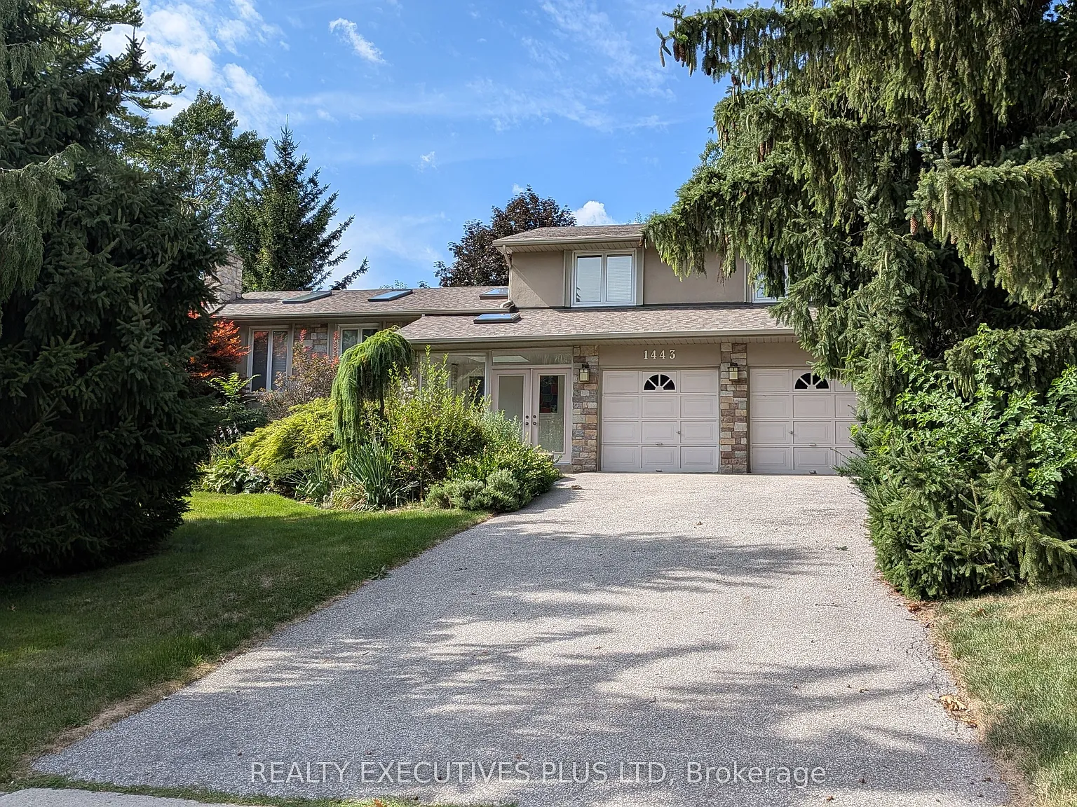 3 bed, $5,500 — Photo 2