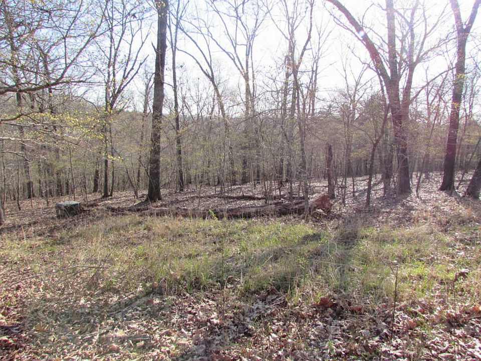 2nd image of 1557 Mountain Grove Rd