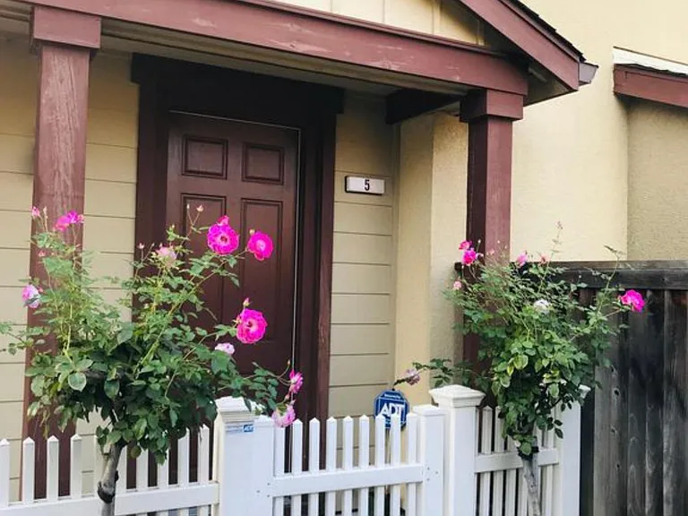 246 Peppermint Tree Trl #5 — Photo 1