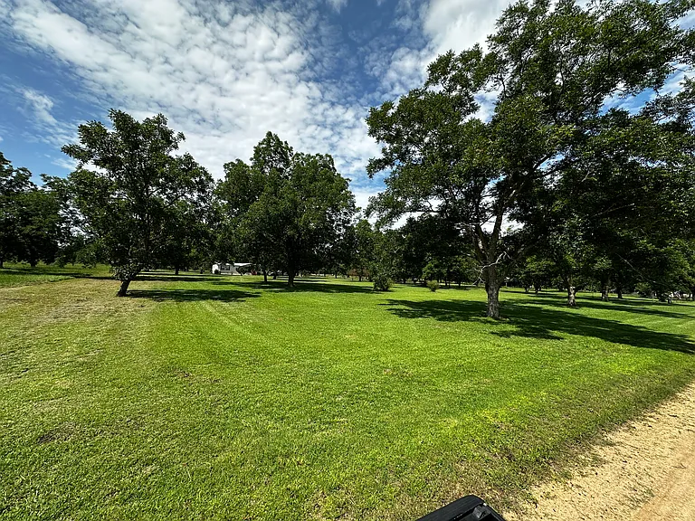 Front yard view from the road.
