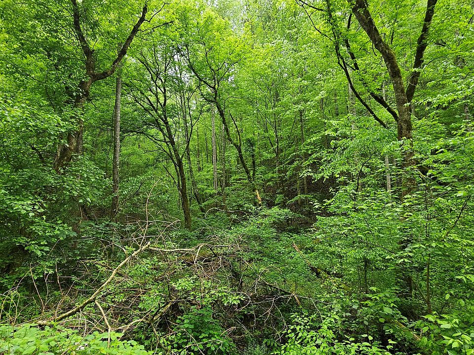 1st image of LOT 9 Deer Trail Way