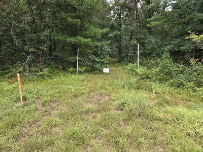 V/l A E #44, Idlewild, MI, 49642