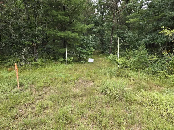 V/l A E #44, Idlewild, MI 49642