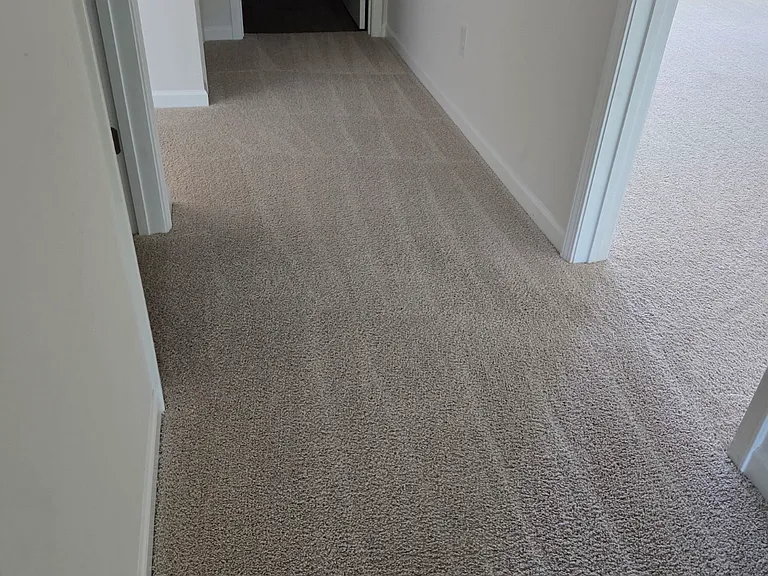 271 Lilys Pl — Photo 19