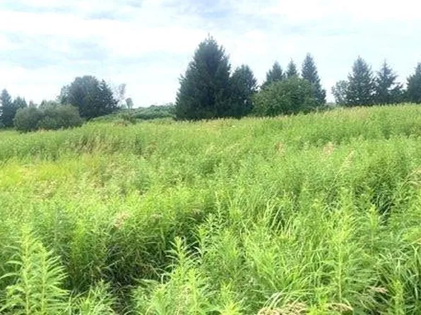 Rockbrook Estates Rd Lot 5, Evans Mills, NY 13637