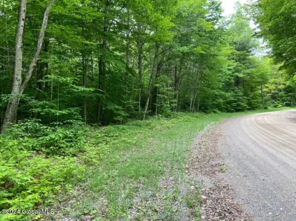 L 72.1 Cummings Road, Ohio, NY 13324