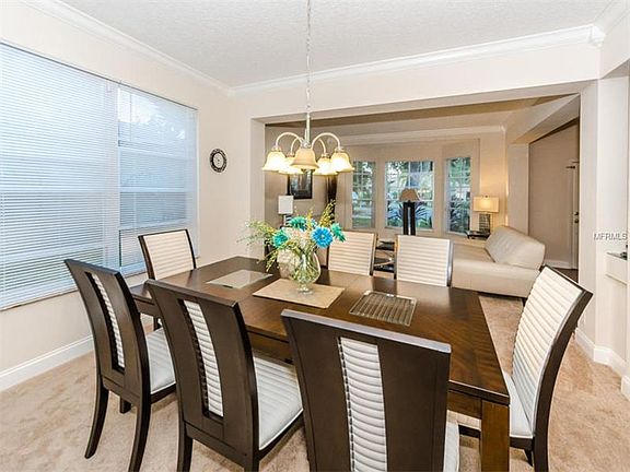 5th image of 1916 Anclote Vista Dr