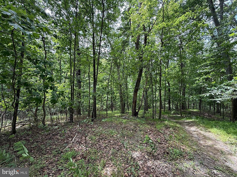 1st image of Mad Hatter Rd