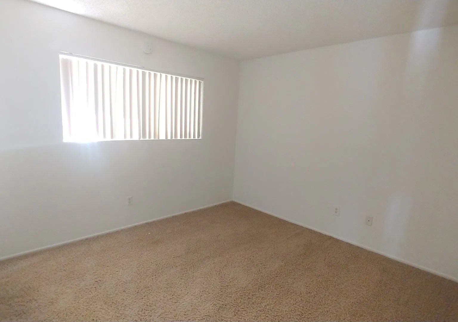 Coastal Living in Beautiful Hermosa Beach — Photo 4