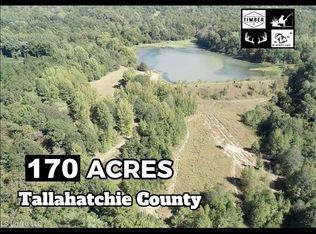 81 Cascilla Rd, Cascilla, MS 38920