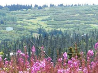 L11-13 Berezka Dr, Anchor Pt, AK 99556