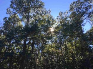 Falling Brook Ct, Pace, FL 32571