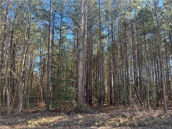 0 Rocky Branch Rd #6, Stony Creek, VA 23882