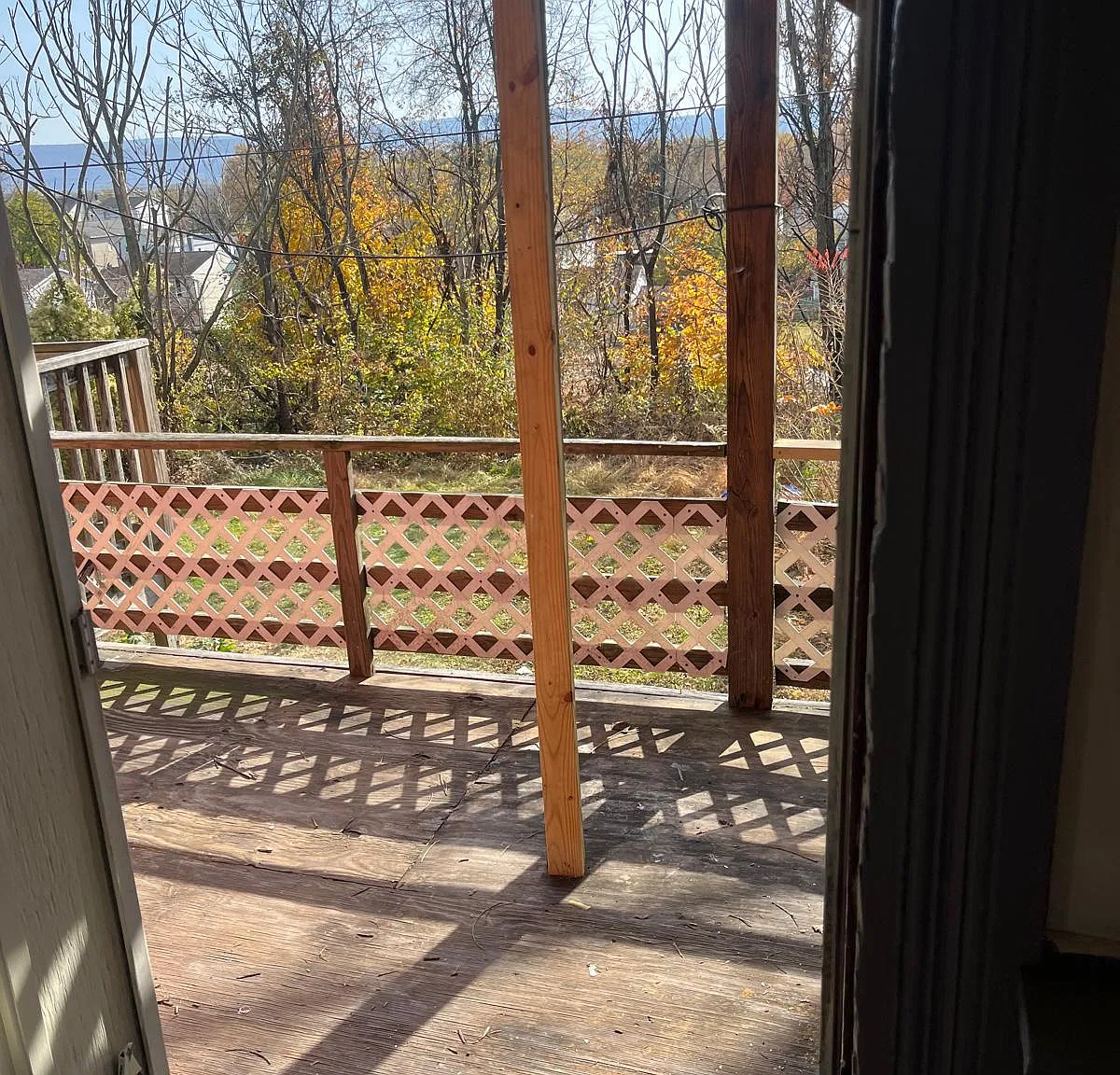 1 bed, 950 sqft, $795 — Photo 3