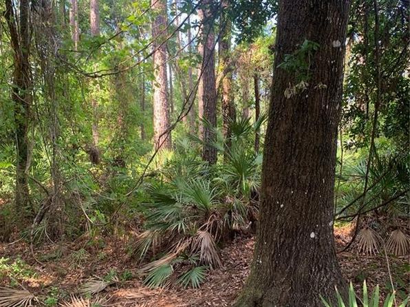 106 Spanish Trl LOT 9, Georgetown, FL 32139