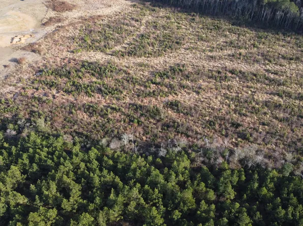 LOT 31 Talton Estates Dr, Pikeville, NC 27863