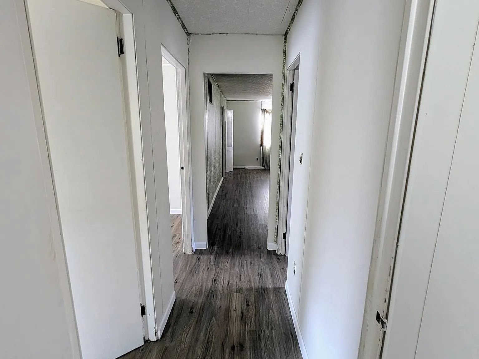 3 bed, 950 sqft, $2,150 — Photo 3
