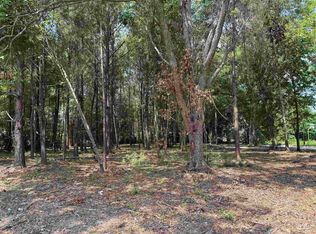 2 Lots - TBD S Rosemary Ave., Andrews, SC 29510