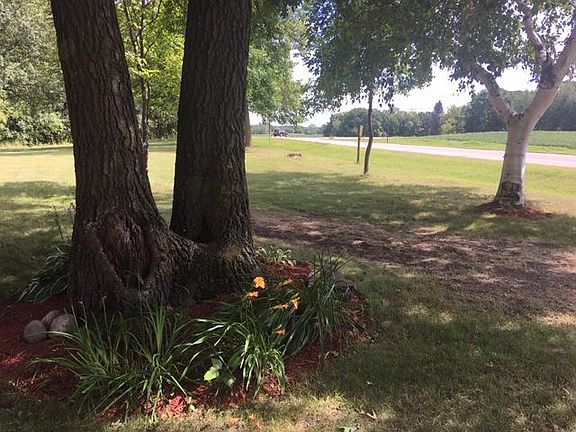 Large front yard steet view