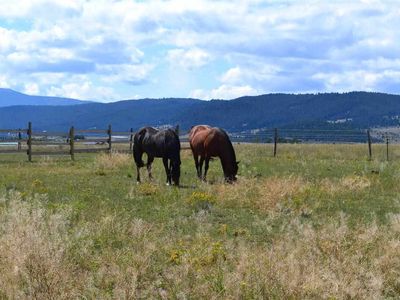 116090 Carriger Ln, Butte, MT, 59750