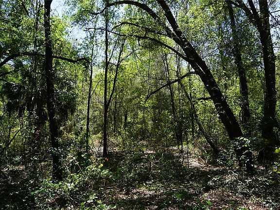 5th image of 1684 E Manko Dr