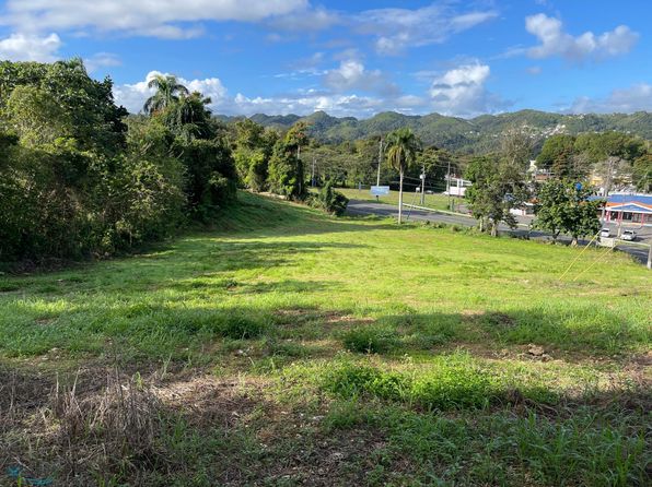 Km 11.8 R Pr #149, Ciales, PR 00638