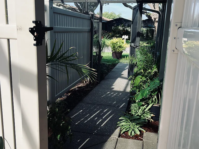 View of pathway from patio door.