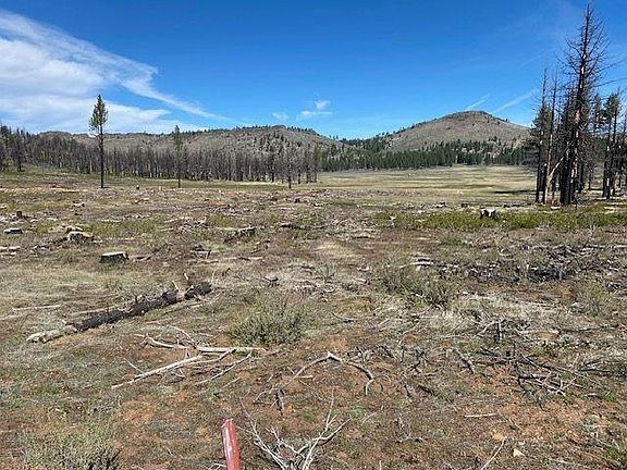 3rd image of 631 Sugarloaf Rd