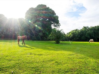 Alamihi Rd #A, Hanalei, HI, 96714