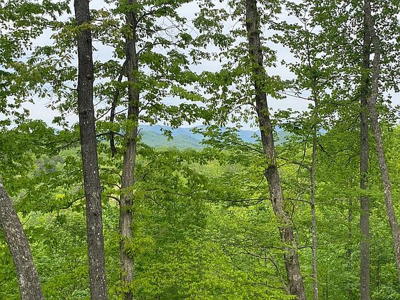 4th image of 19 Tekoa Mountain Way Lot 19