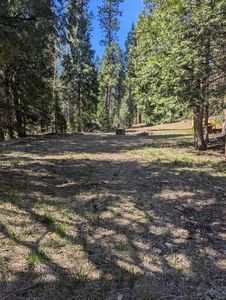 Texas Hill Rd, Emigrant Gap, CA, 95715