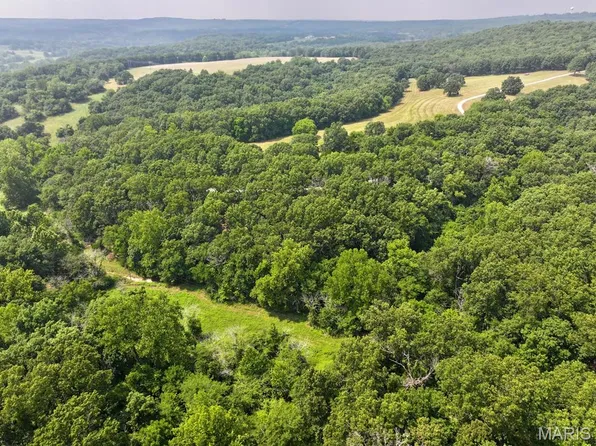 Highway 17 Tract #19, Crocker, MO 65452