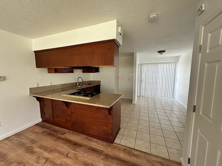 1141 E Citrus Ave #500 — Photo 4