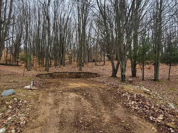 4551 E Deer Cove Rd, Custer, MI 49405