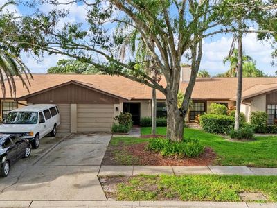 2002 Montego Ct, Oldsmar, FL, 34677