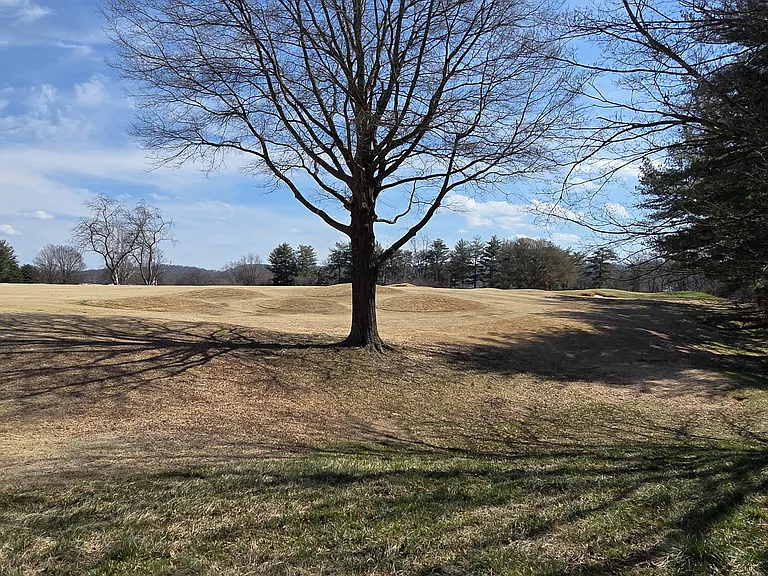 802 Country Club Ct — Photo 27