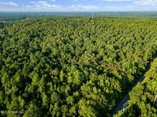 Oxford Rd, Lauderdale, MS 39335