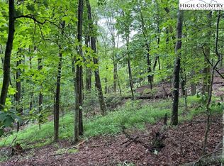 Rattlesnake Mountain Rd, Laurel Springs, NC 28644