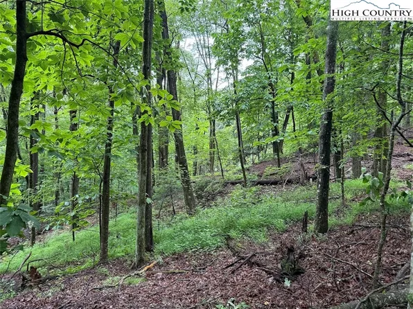 TBD Rattlesnake Mountain Road, Laurel Springs, NC 28644