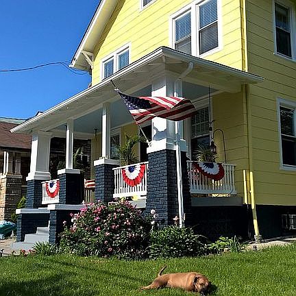 Front yard 