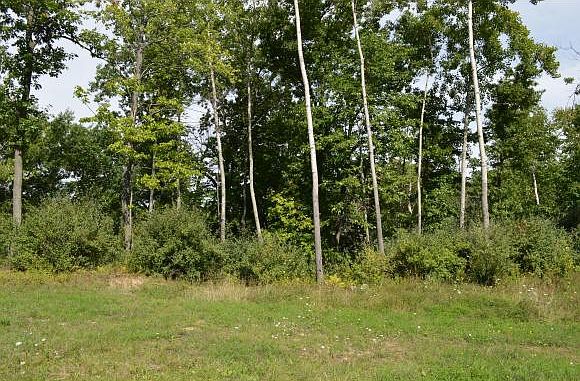 2nd image of 275 Lost Ridge Ct