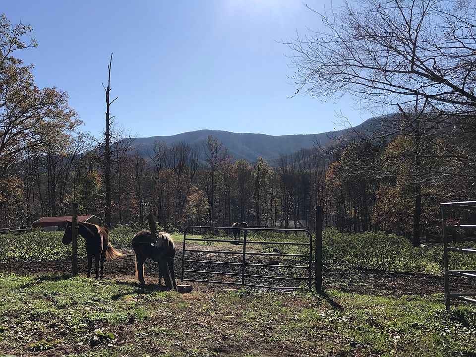 1st image of 4637 Deer Trail Dr