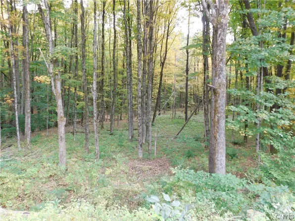 6722 Bankert Rd #11, Ava, NY 13303