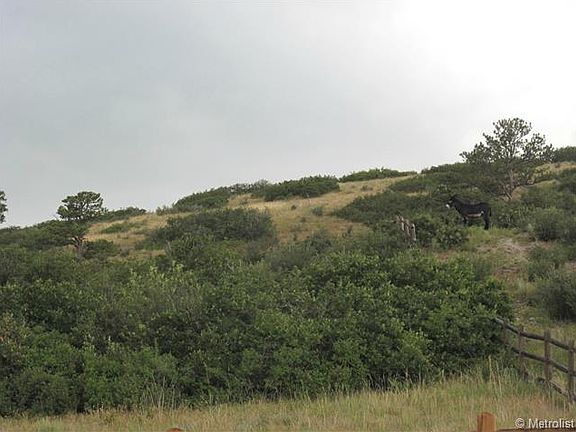 3rd image of 5917 Lemon Gulch Dr