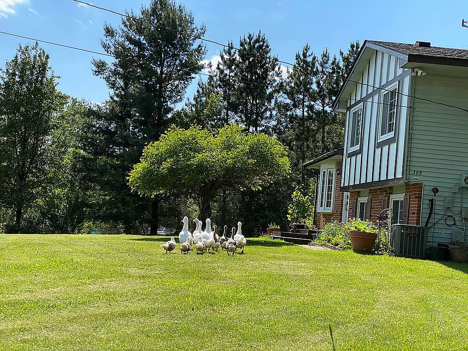 2nd image of 385 Deer Ln