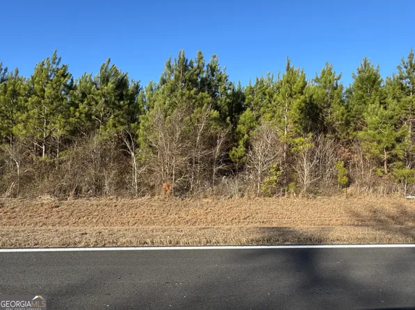 LOT 3A Whitfield Rd, Elko, GA 31025