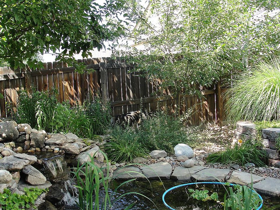 Pond in back yard